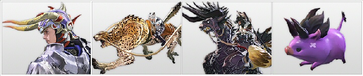 FFXIV: A Realm Reborn: Collector's edition in-game bonus items