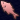 FFXIV Fisher's Primary Tool Slot