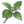 FFXIV - Galago Mint
