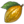 FFXIV - Kukuru Bean