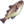 FFXIV - Tiger Cod