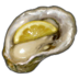 FFXIV - Raw Oyster