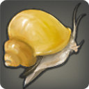 Acorn Snail - Fish - Items