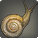 Allagan Snail - Fish - Items