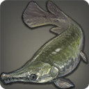 Alligator Garfish - Fish - Items