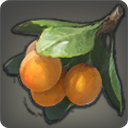 Apricot - New Items in Patch 2.2 - Items