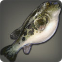 Blowfish - Fish - Items