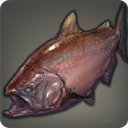 Bronze Lake Trout - Fish - Items