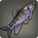 Cadaver Carp - Fish - Items