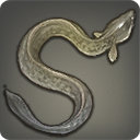 Caravan Eel - Fish - Items