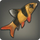 Clown Loach - Fish - Items