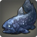 Coelacanth - Fish - Items