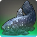 Coelacanthus - Fish - Items