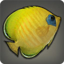 Coral Butterfly - Fish - Items