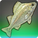 Crystal Perch - Fish - Items