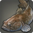 Dark Sleeper - Fish - Items