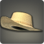 Dated Straw Hat - Helms, Hats and Masks Level 1-50 - Items