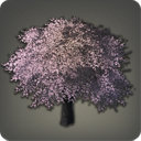 Eastern Cherry Tree - New Items in Patch 2.51 - Items