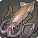 Giant Squid - Fish - Items