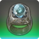 Gladiator's Ring - Rings Level 1-50 - Items