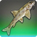Great Gudgeon - Fish - Items
