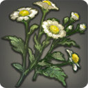 Halone Gerbera - New Items in Patch 2.2 - Items