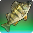 High Perch - Fish - Items