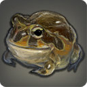 Lava Toad - Fish - Items