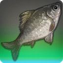 Matron Carp - Fish - Items