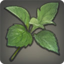 Mazlaya Greens - New Items in Patch 2.51 - Items