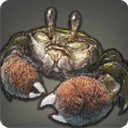 Mitten Crab - Fish - Items