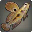 Mudskipper - Fish - Items