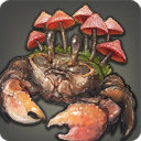 Mushroom Crab - Fish - Items