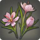 Nymeia Lily - New Items in Patch 2.2 - Items