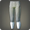 Patrician's Bottoms - Pants, Legs Level 1-50 - Items
