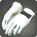 Patrician's Gloves - Gaunlets, Gloves & Armbands Level 1-50 - Items