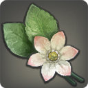 Pearl Roselle - Reagents - Items