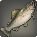 Rainbow Trout - Fish - Items