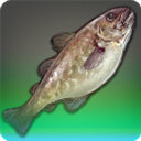Sabertooth Cod - Fish - Items
