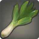 Salt Leek - Ingredients - Items