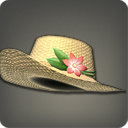 Stablemaid's Hat - Helms, Hats and Masks Level 1-50 - Items