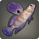 Striped Goby - Fish - Items