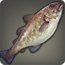 Tiger Cod - Fish - Items