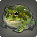 Tree Toad - Fish - Items