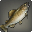 Warmwater Trout - Fish - Items