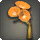 Orange Morning Glory Corsage - Helms, Hats and Masks Level 1-50 - Items