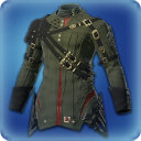 Augmented Shire Emissary's Jacket - New Items in Patch 3.4 - Items