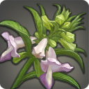 Bitter Foxglove - New Items in Patch 3.05 - Items