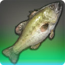 Bobgoblin Bass - Fish - Items