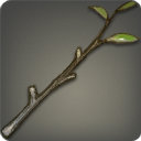 Camphorwood Branch - New Items in Patch 3.15 - Items